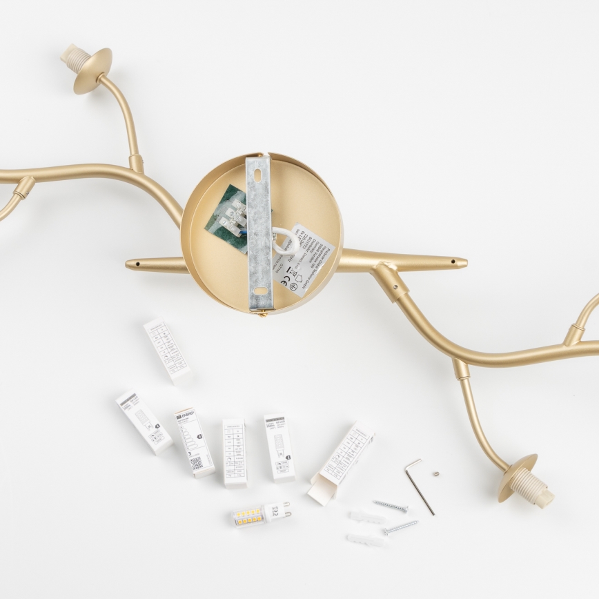 Brilagi - LED-Anbauleuchte MISTEL 6xG9/3W/230V golden/weiß