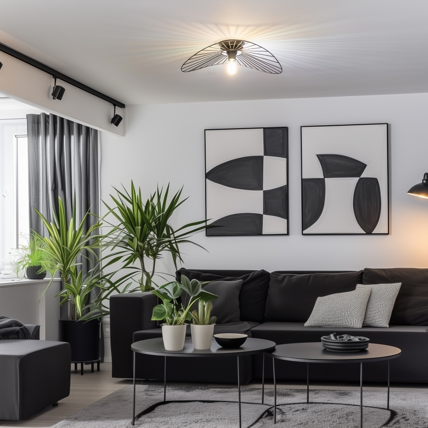 Brilagi - LED-Aufbau-Deckenleuchte CERIA WIRE 1xE27/40W/230V 40x56 cm schwarz