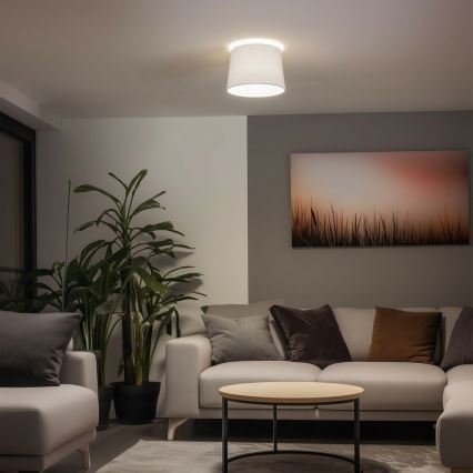 Brilagi - LED-Aufputz-Deckenleuchte CERIA 1xE27/40W/230V Ø 30 cm weiß