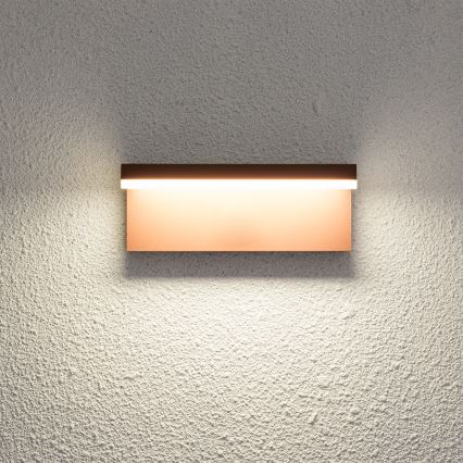 Brilagi - LED Außenwandleuchte TESSI LED/10W/230V braun IP54