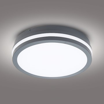 Brilagi - LED-Auβenleuchte BENE LED/24W/230V d 26 cm anthrazit IP54