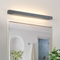 Brilagi - LED-Badezimmer-Spiegelleuchte AQUA LINE, 18 W, 230 V, 60 cm, IP44, Anthrazit