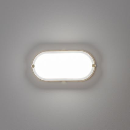 Brilagi - LED-Decken-Hochleistungsleuchte SIMA LED/12W/230V IP65 weiß