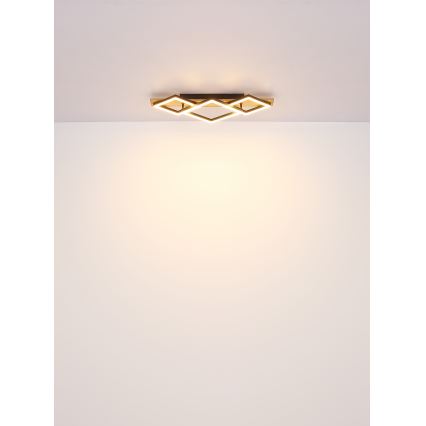 Brilagi - LED-Deckenleuchte AXIS I LED/24W/230V