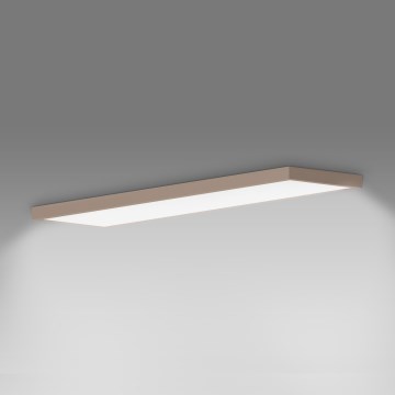 Brilagi - LED-Deckenleuchte für Badezimmer FRAME LED/50W/230V 120x30 cm IP44 beige