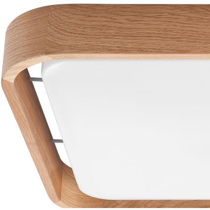 Brilagi - LED dimmbare Deckenleuchte MANAROLA CUBIC LED/24W/230V 3000-6500K Eiche + Fernbedienung
