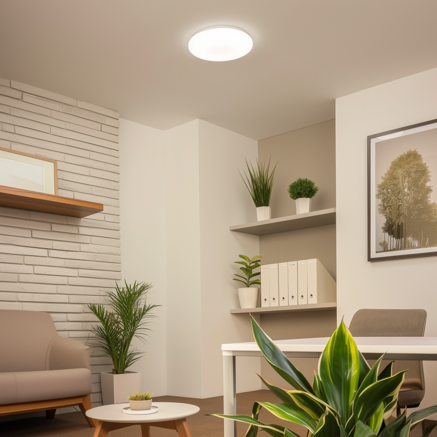 Brilagi - LED Deckenleuchte OPAL LED/24W/230V