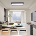 Brilagi - LED-dimmbare Badezimmer-Deckenleuchte FRAME SMART LED/30W/230V 30x60 cm 3000-6000K IP44 schwarz + Fernbedienung