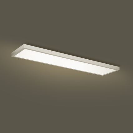 Brilagi - LED-dimmbare Badezimmer-Deckenleuchte FRAME SMART LED/50W/230V 120x30 cm 3000-6000K IP44 silber + Fernbedienung