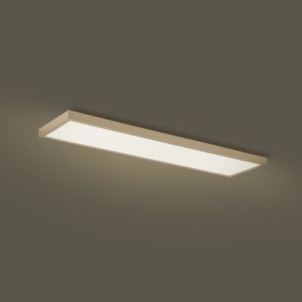 Brilagi - LED-dimmbare Badezimmer-Deckenleuchte FRAME SMART LED/50W/230V 120x30 cm 3000-6000K IP44 beige + Fernbedienung