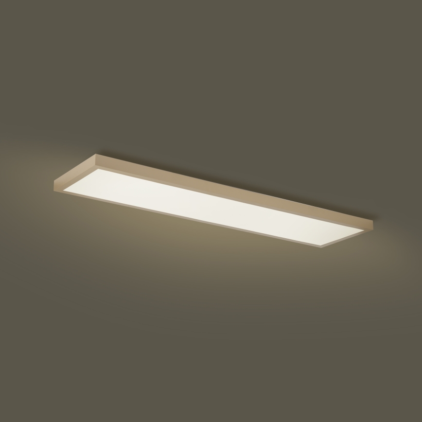 Brilagi - LED-dimmbare Badezimmer-Deckenleuchte FRAME SMART LED/50W/230V 120x30 cm 3000-6000K IP44 beige + Fernbedienung