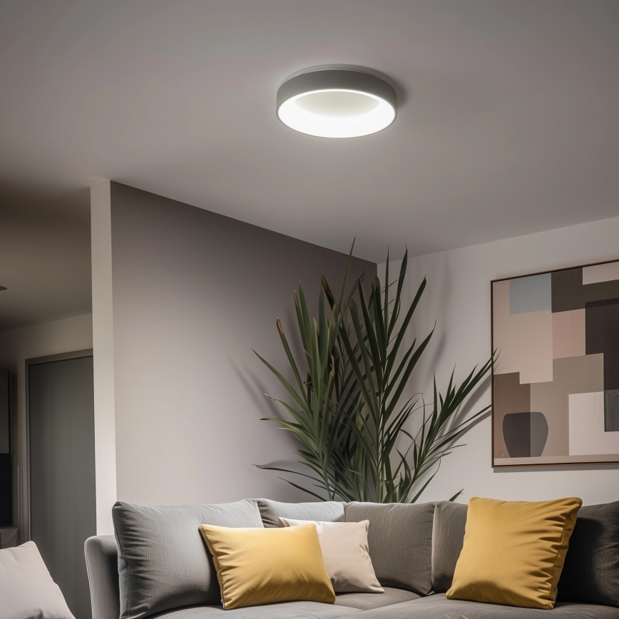 Brilagi - LED dimmbare Deckenleuchte FALCON LED/80W/230V 3000-6500K grau + Fernbedienung