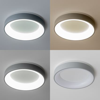 Brilagi - LED dimmbare Deckenleuchte FALCON LED/80W/230V 3000-6500K grau + Fernbedienung
