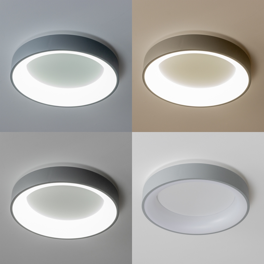 Brilagi - LED dimmbare Deckenleuchte FALCON LED/80W/230V 3000-6500K grau + Fernbedienung