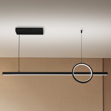 Brilagi - LED dimmbare Hängeleuchte an Seil NIVIO LED/20W/230V 3000/4000/6000K + Fernbedienung