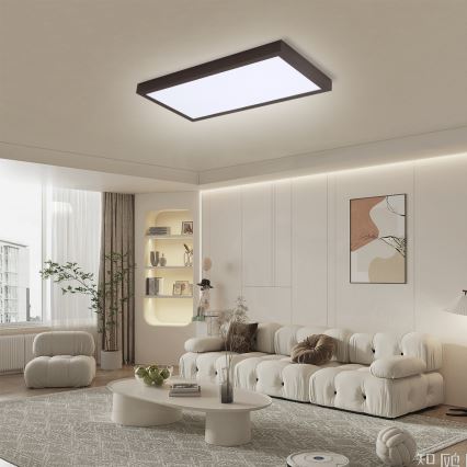 Brilagi - LED Dimmbare Badezimmer-Deckenleuchte FRAME SMART LED/30W/230V 30x60 cm 3000-6000K schwarz + Fernbedienung