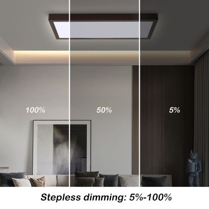 Brilagi - LED Dimmbare Badezimmer-Deckenleuchte FRAME SMART LED/30W/230V 30x60 cm 3000-6000K schwarz + Fernbedienung