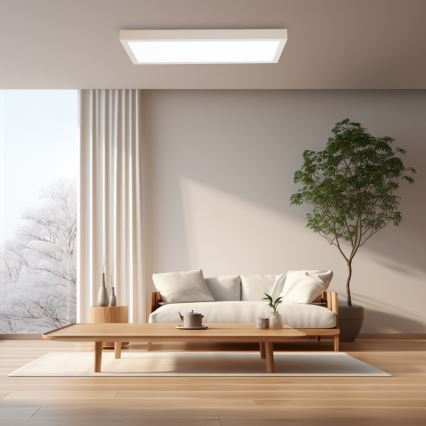 Brilagi - LED Dimmbare Badezimmer-Deckenleuchte FRAME SMART LED/30W/230V 30x60 cm 3000-6000K IP44 weiß + Fernbedienung