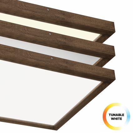 Brilagi - LED dimmbares Badezimmer-Deckenleuchte WOODY FRAME LED/50W/230V Eiche Nussbaum 60x60 cm 3000-6000K IP44 + Fernbedienung