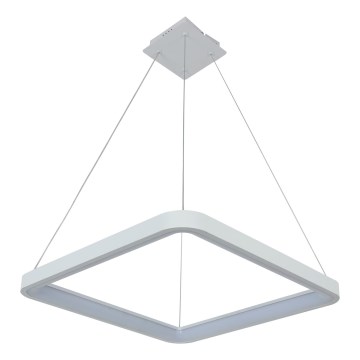 Brilagi - LED dimmbare Pendelleuchte an Kabel FALCON SLIM LED/50W/230V 3000-6500K 50x50 cm weiß + Fernbedienung
