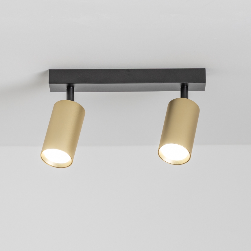 Brilagi - LED-dimmbare Spotleuchte SELE GOLDEN 2xGU10/6,5W/230V 2700-6500K schwarz/gold
