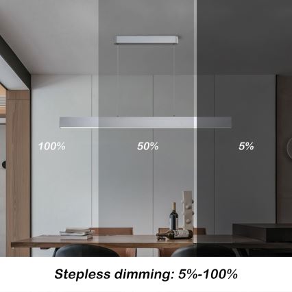 Brilagi - LED Dimmbarer Deckenleuchte mit Kabel SLEEKLINE SMART LED/40W/230V 3000-6000K Wi-Fi Tuya Silber + Fernbedienung