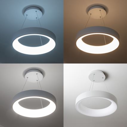 Brilagi - LED dimmbarer Kronleuchter an Seil FALCON LED/80W/230V 3000-6500K Ø 60 cm weiß + Fernbedienung