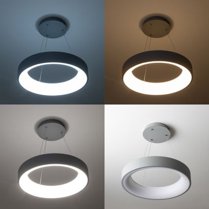 Brilagi - LED dimmbarer Kronleuchter an Seil FALCON LED/80W/230V 3000-6500K Ø 60 cm grau + Fernbedienung