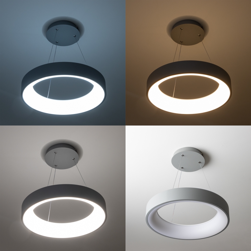Brilagi - LED dimmbarer Kronleuchter an Seil FALCON LED/80W/230V 3000-6500K Ø 60 cm grau + Fernbedienung