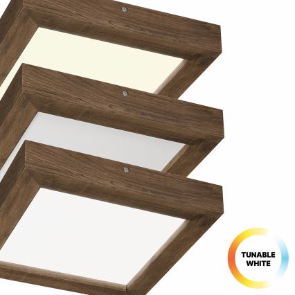 Brilagi - LED dimmbares Badezimmer-Deckenleuchte WOODY FRAME LED/24W/230V Eiche Nussbaum 30x30 cm 3000-6000K IP44 + Fernbedienung