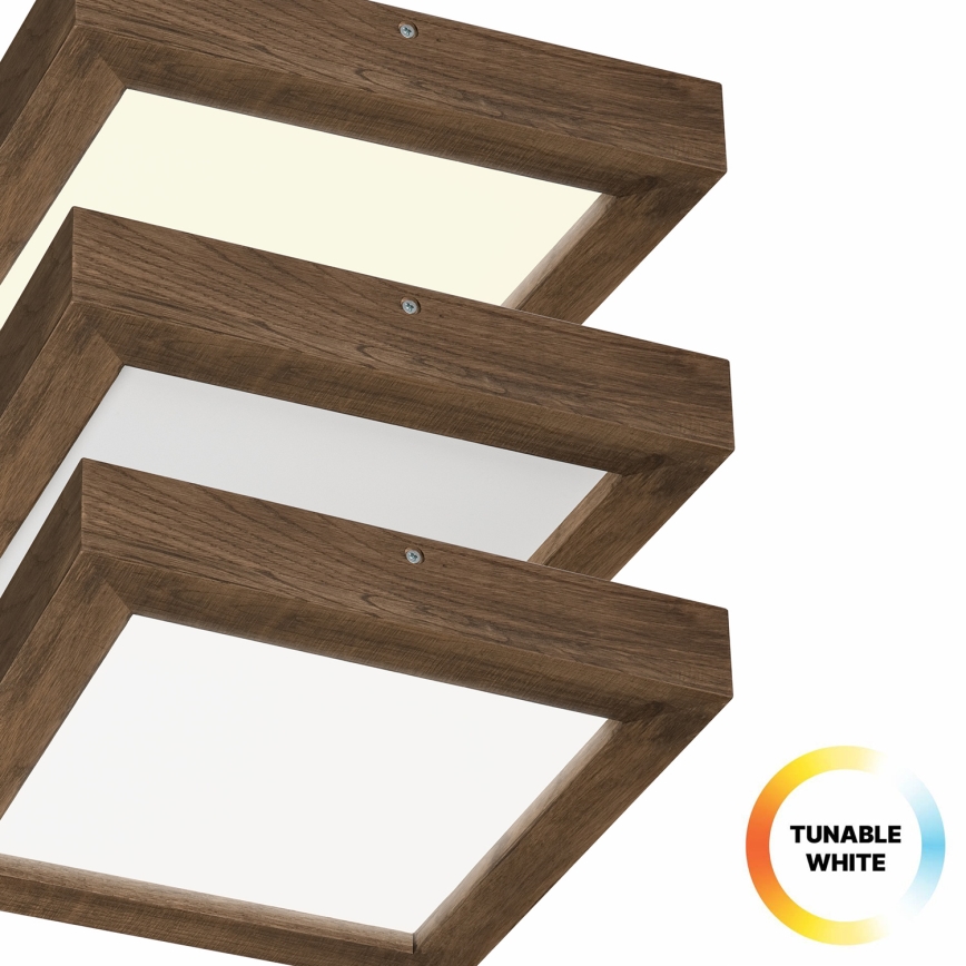 Brilagi - LED dimmbares Badezimmer-Deckenleuchte WOODY FRAME LED/24W/230V Eiche Nussbaum 30x30 cm 3000-6000K IP44 + Fernbedienung