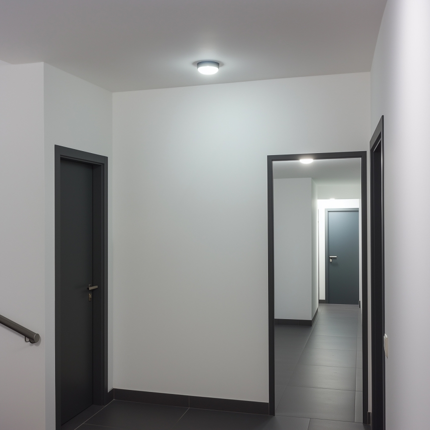 Brilagi - LED Industrie-Deckenleuchte SIMA LED/12W/230V IP65 schwarz