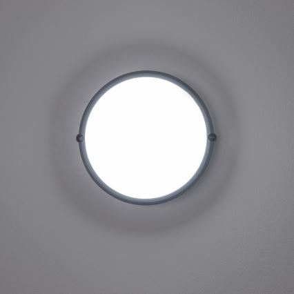 Brilagi - LED Industrie-Deckenleuchte SIMA LED/12W/230V IP65 schwarz