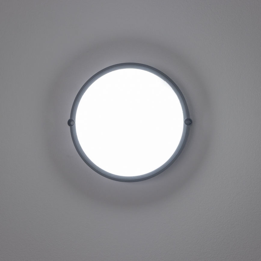 Brilagi - LED Industrie-Deckenleuchte SIMA LED/12W/230V IP65 schwarz