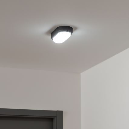 Brilagi - LED Industrie-Deckenleuchte SIMA LED/12W/230V IP65 schwarz