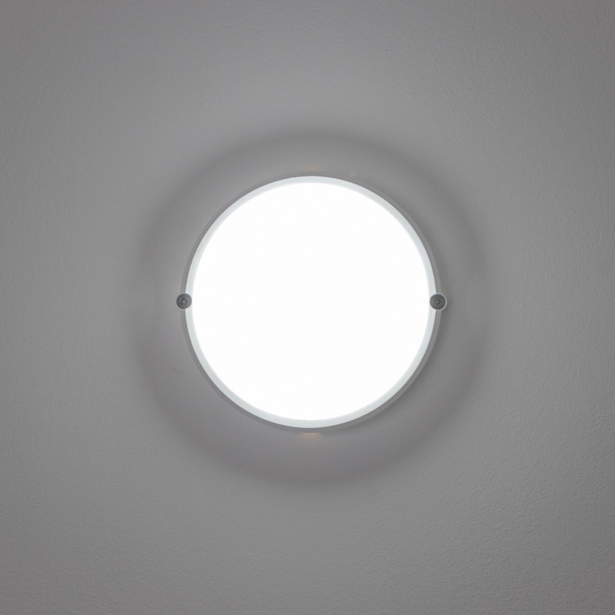 Brilagi - LED Industrie-Deckenleuchte SIMA LED/12W/230V IP65 weiß