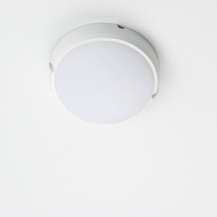 Brilagi - LED Industrie-Deckenleuchte SIMA LED/12W/230V IP65 weiß