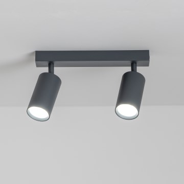Brilagi - Strahler SELE 2xGU10/30W/230V anthrazit