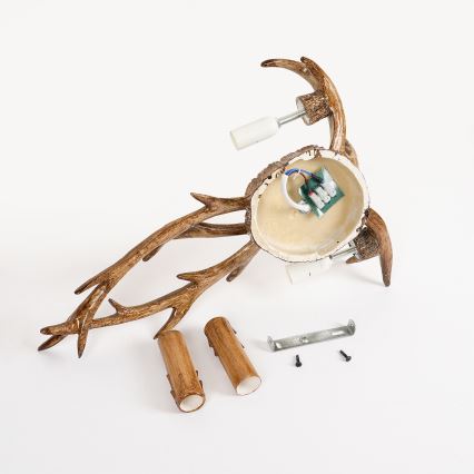 Brilagi - Wandleuchte DEER 2xE14/10W/230V