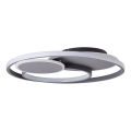 Brilliant - Dimmbare LED-Deckenleuchte RUNDA LED/50W/230V 3000-6500K schwarz + Fernbedienung