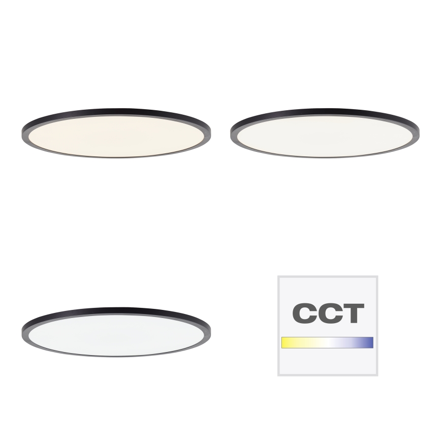 Brilliant - LED-dimmbare Deckenleuchte TUCO LED/33W/230V 3000-6500K Ø 50 cm schwarz + Fernbedienung