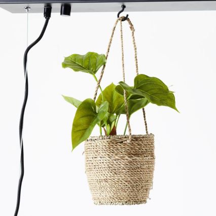 Brilliant - Hängeleuchte mit Kabelaufhängung BANKWOOD 5xE27/28W/230V Pappel