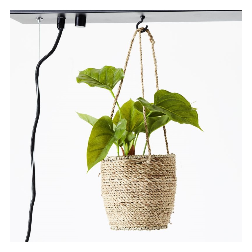 Brilliant - Hängeleuchte mit Kabelaufhängung BANKWOOD 5xE27/28W/230V Pappel