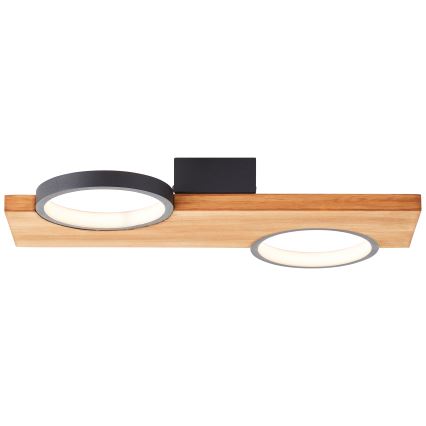 Brilliant - LED-Deckenleuchte CHEESY LED/14W/230V Kiefer