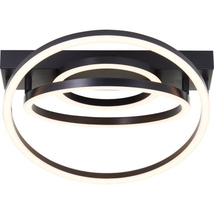 Brilliant - LED-dimmbare Deckenleuchte PEDLEY LED/36W/230V schwarz