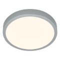 Briloner 3703-014 - LED-Deckenleuchte RUNA LED/24W/230V 3000K d 38 cm silbern
