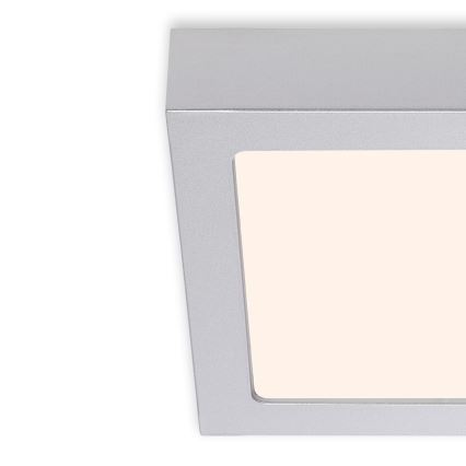 Briloner 7123-014 - LED-Deckenleuchte FIRE LED/12W/230V 3000K 17x17cm silber