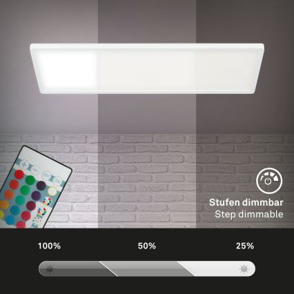 Briloner 7404-016 - RGBW-LED-Aufputzpanel, dimmbar, 22 W, 230 V, 4000 K, inkl. Fernbedienung