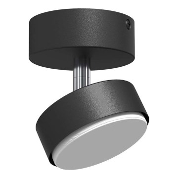 Brosline - Deckenspot 1xGX53/9W/230V schwarz