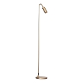 ByRydens - Stehleuchte CURVE 1xGU10/7W/230V goldfarben